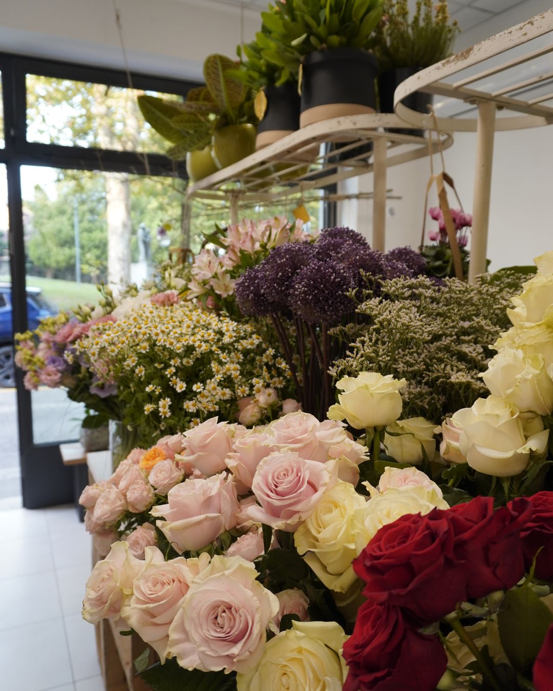 L'interno della bottega IFIUR: rose rosa, bianche e rosse in primo piano, piante sugli scaffali e la vetrina sul fondo