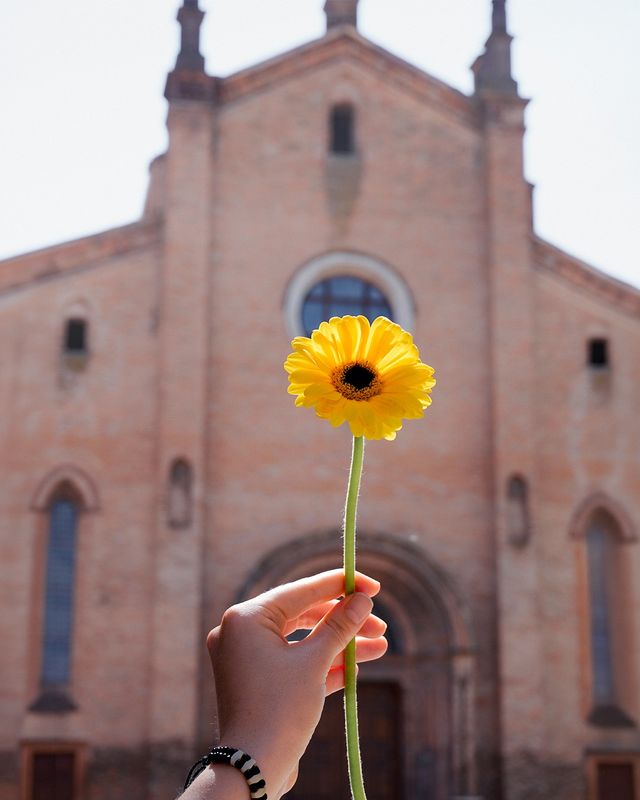 Una gerbera gialla alzata davanti alla facciata in mattoni di una chiesa con il rosone