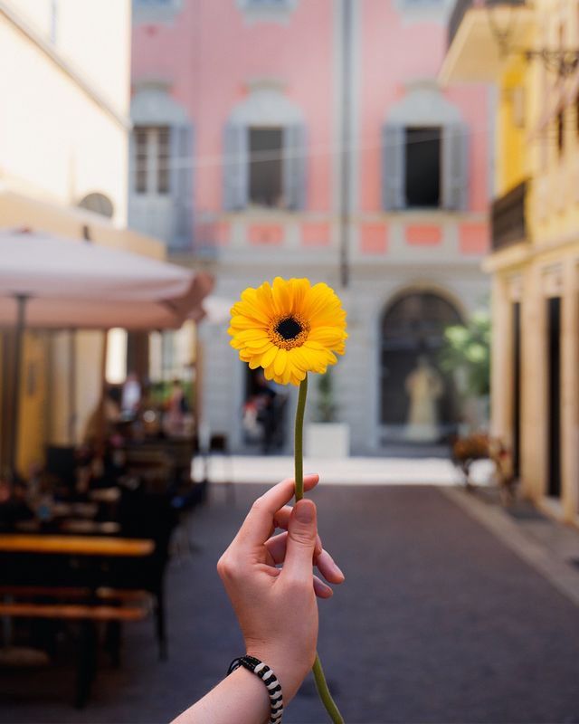 Una gerbera gialla davanti a un palazzo dalla facciata rosa, con i tavolini di un bar a lato